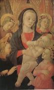Master of The Castello Nativity The Virgin and Child Surrounded by Four Angels (mk05) Spain oil painting artist